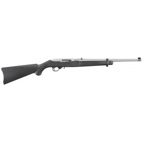 RUGER 10/22 TAKEDOWN Inox