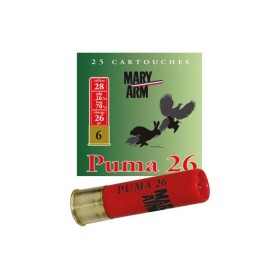 MARY ARM Puma 26