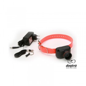 DOGTRA COLLIER STB HAWK L